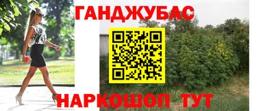 сатива Беслан
