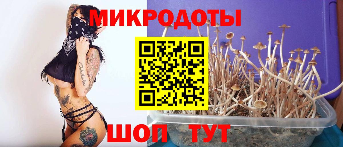 Псилоцибиновые грибы GOLDEN TEACHER  Вход с VPN  Клинцы 
